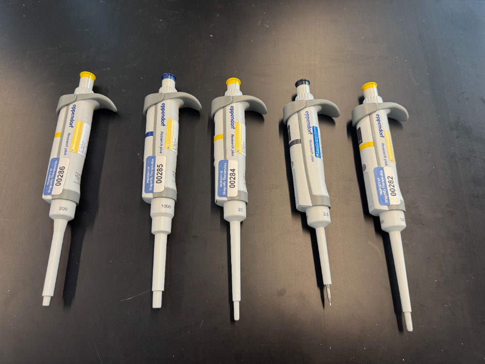 Image of Eppendorf Research Plus Single Channel Pipettes - Quantity 5